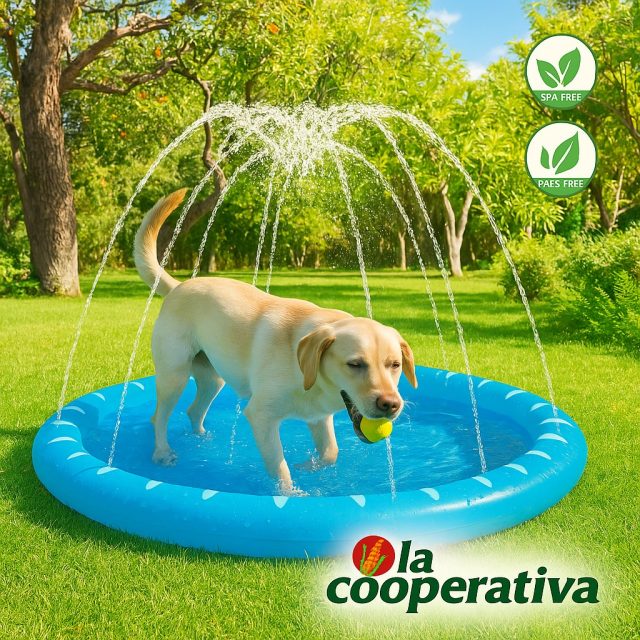 🐶💦 ¡Atención amigos! He encontrado el paraíso: agua, pelota y no hay que compartirla con gatos 😎
Esta piscina no solo me refresca... ¡me da poderes perrunos!
🌽 Disponible en La Cooperativa (sí, donde compran tus dueños)
#ModoSpaActivado #PerroFelizHumanoTranquilo #LaCooperativa #VeranoCanino #NiUnaPulgaMás
