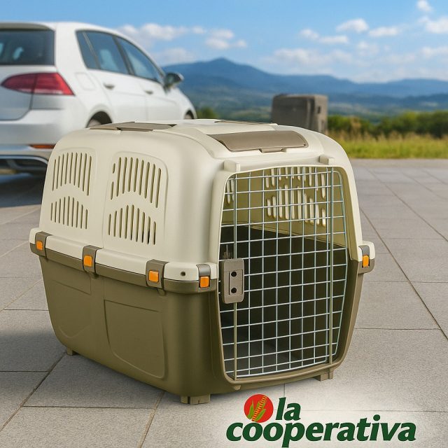 🚗🐾 ¡Viajar con tu mascota nunca fue tan fácil!
Nuestro transportín resistente y cómodo es ideal para escapadas, vacaciones o visitas al veterinario.
Diseñado para la seguridad y la tranquilidad de ambos.
📦 Disponible en La Cooperativa
#MascotasSeguras #ViajaConTuMascota #LaCooperativa #PetLovers #TransportínIdeal