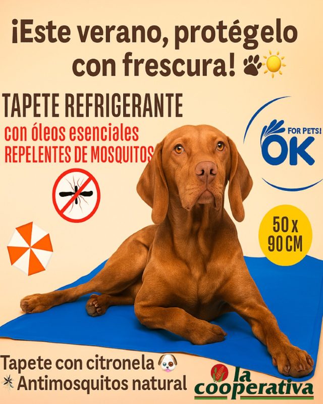 🐶❄️ ¡Este verano, ellos también merecen vacaciones fresquitas!
Entre siestas bajo la sombrilla y persecuciones a mosquitos imaginarios... ¡llegan los tapetes refrescantes más chulos del verano y los tenemos aquí, en LA COOPERATIVA! 🌈🦟
👉 Con citronela natural para decirle NO a los mosquitos
👉 Diseños coloridos para derretir corazones (no a tu perro)
👉 Tamaños perfectos para todo tipo de lomitos 🐾
#VeranoCanino #FrescuraPeluda #TapeteRefrescante #MosquitosOff #CamonLovesPets #OKForPets #PetSummerVibes